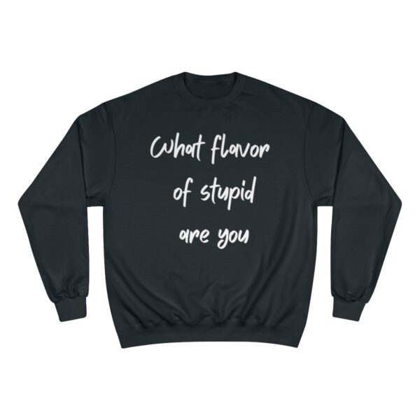 Brat Life "What Flavor of Stupid Are You" Champion Sweatshirt - Image 9