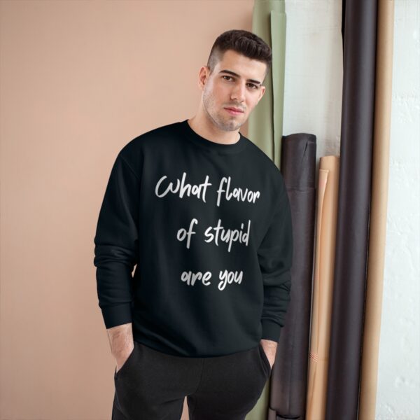 Brat Life "What Flavor of Stupid Are You" Champion Sweatshirt - Image 11