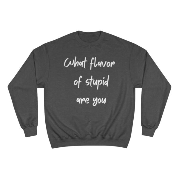 Brat Life "What Flavor of Stupid Are You" Champion Sweatshirt - Image 5