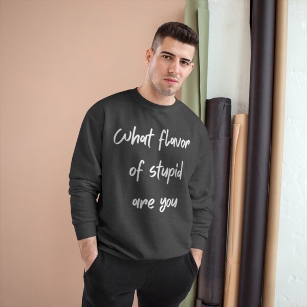 Brat Life "What Flavor of Stupid Are You" Champion Sweatshirt - Image 7